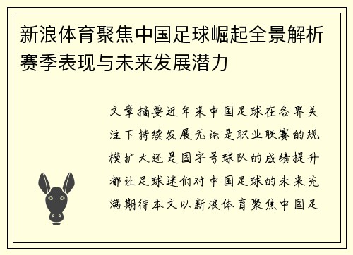 新浪体育聚焦中国足球崛起全景解析赛季表现与未来发展潜力